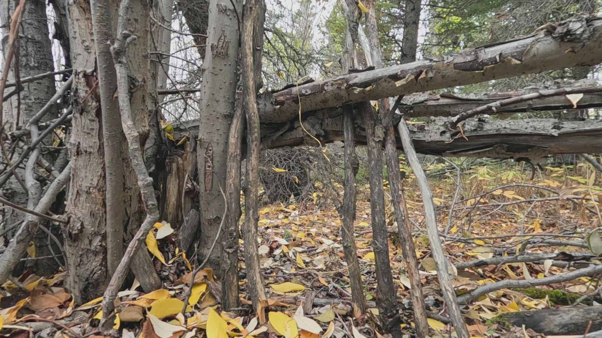 Still from Building Momentum