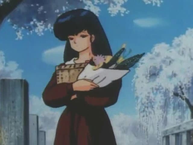 Still from Highlights: Through the Passing Seasons