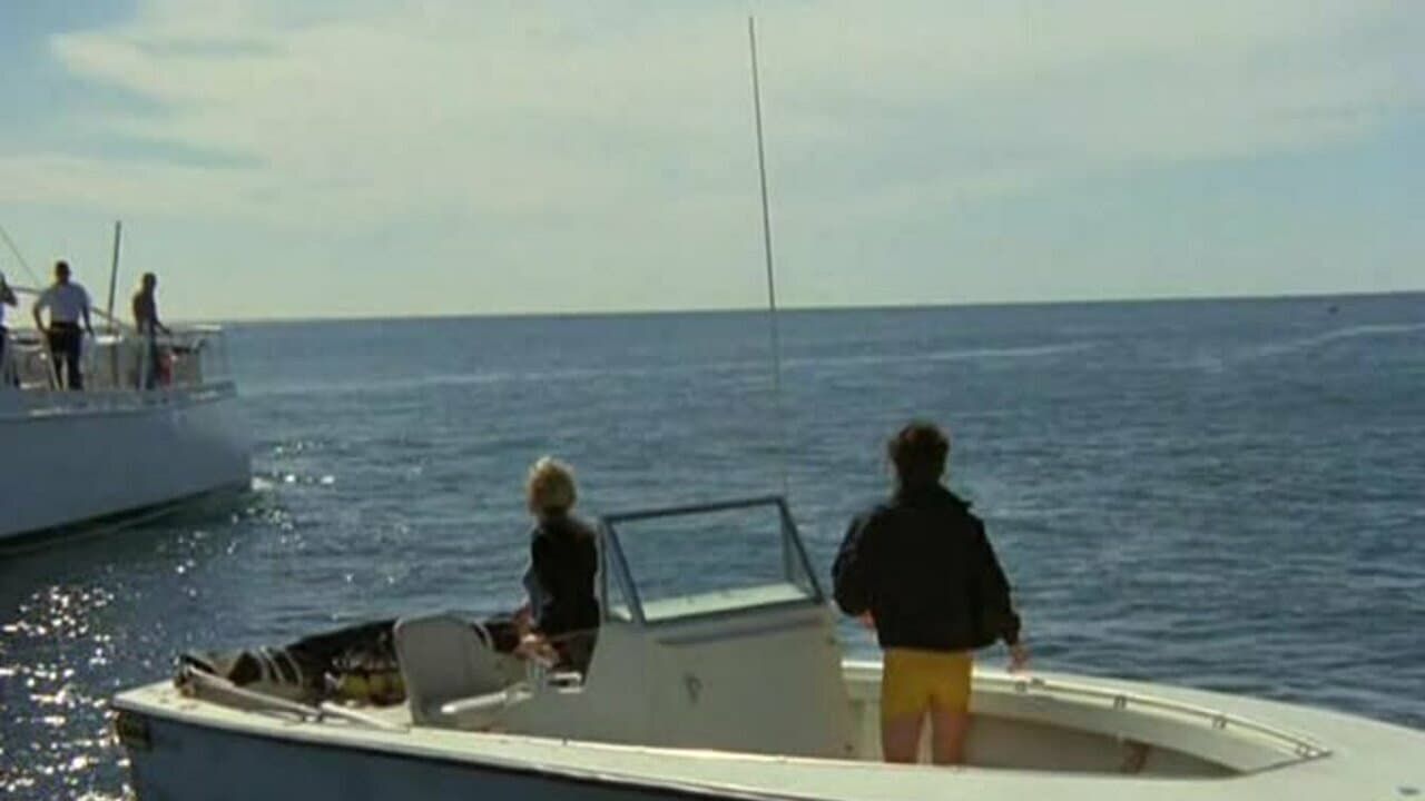 Still from The Death Scouts