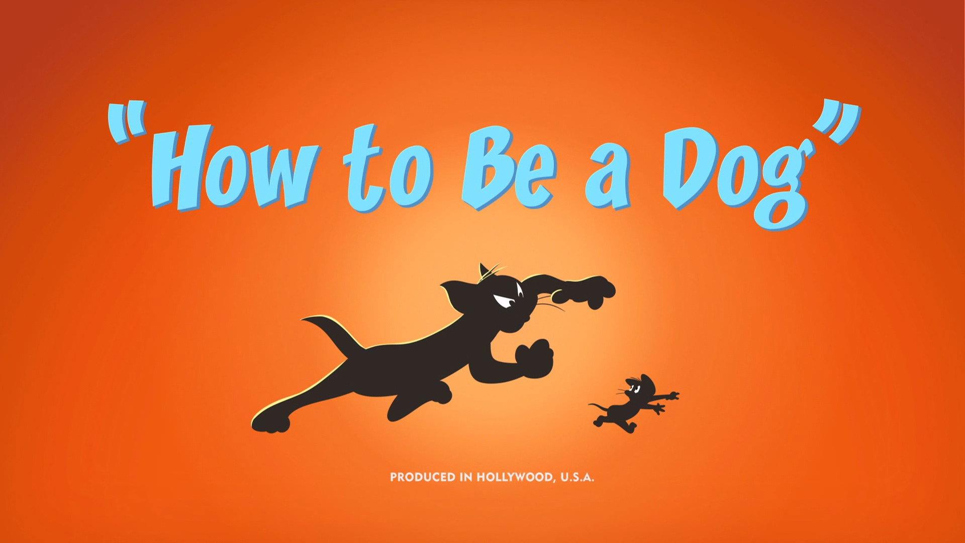 Still from How to Be a Dog