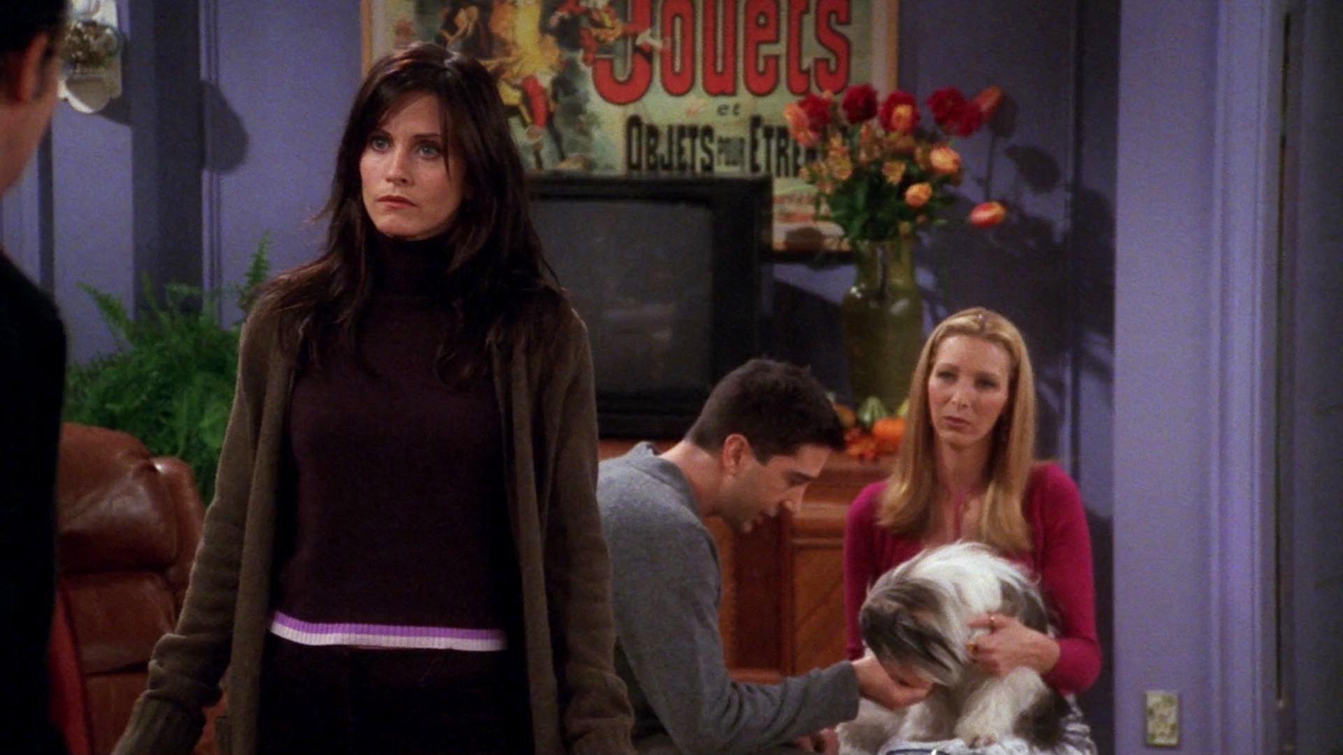 Still from The One Where Chandler Doesn't Like Dogs