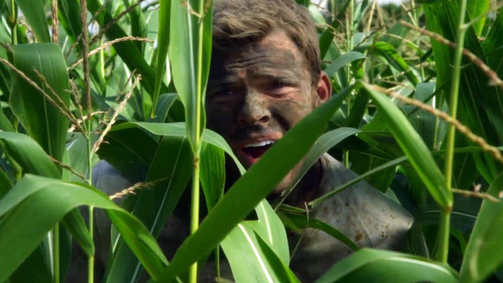 Still from The Corn Field (1)