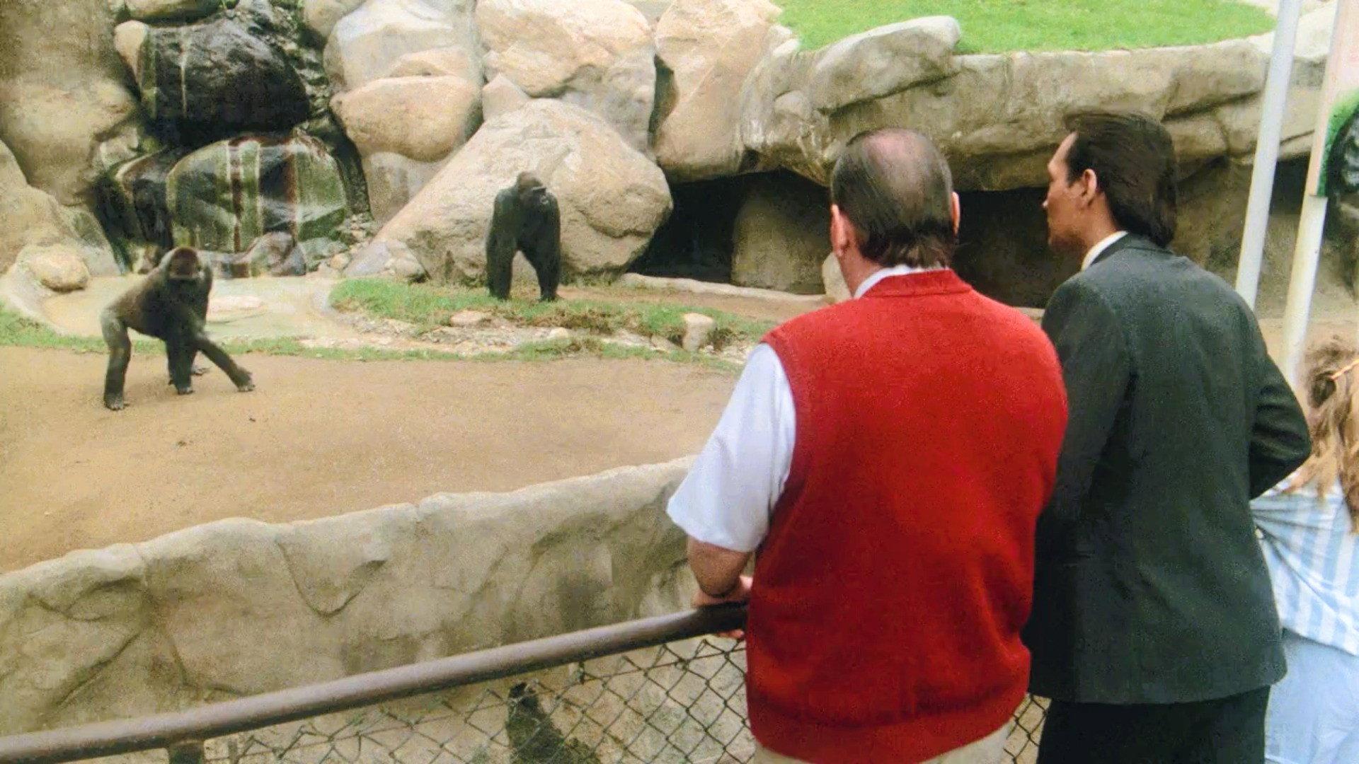 Still from Gorilla My Dreams
