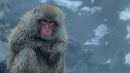Still from Frozen Nights