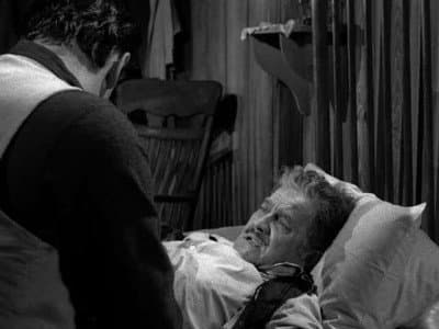 Still from Cow Doctor