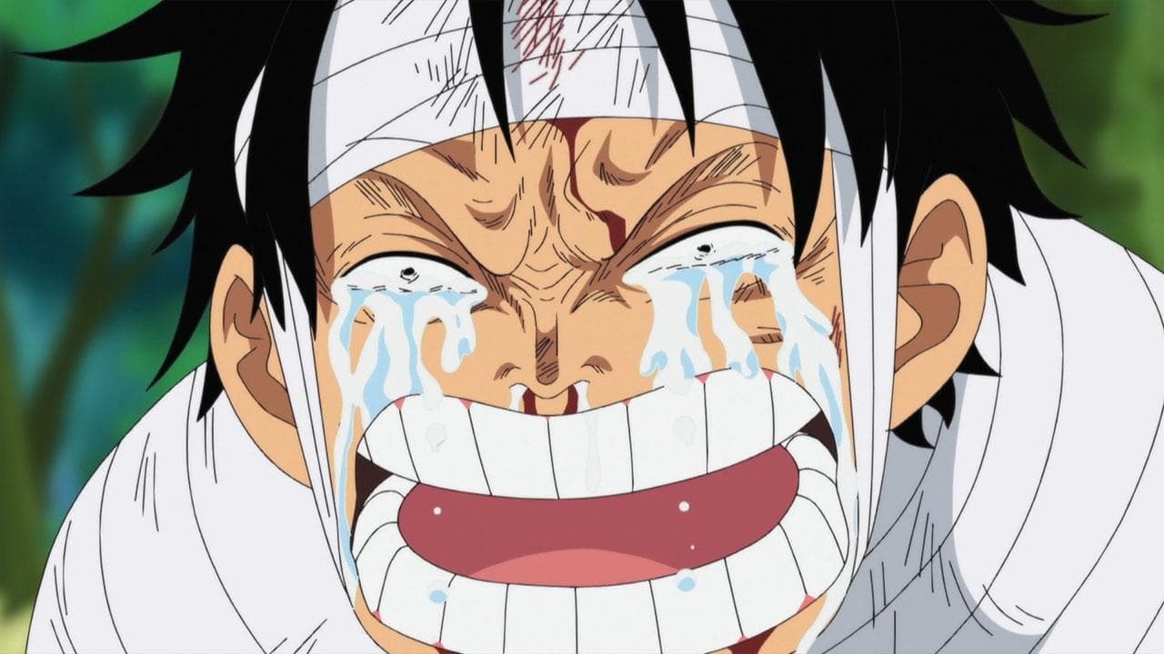 Still from Landing at the Maiden Island! The Harsh Reality Falls upon Luffy!