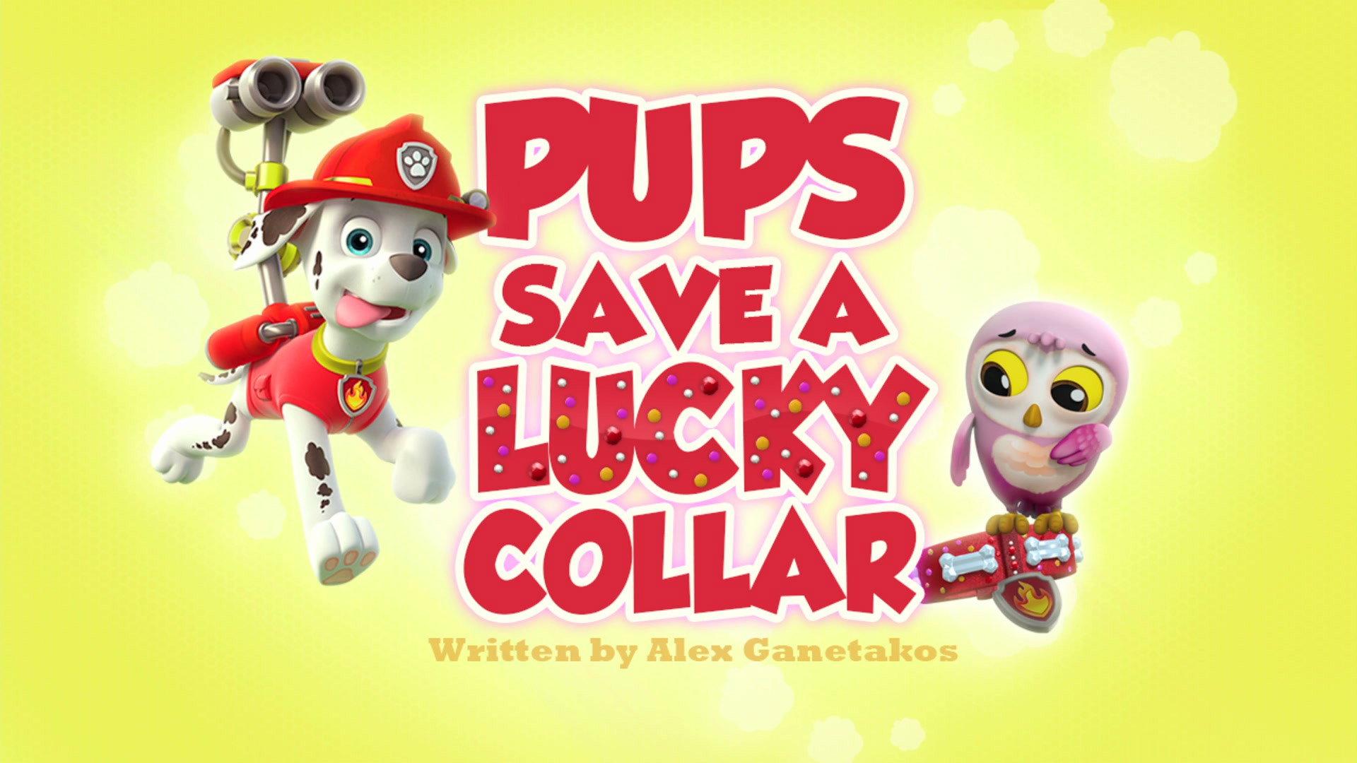 Still from Pups Save a Lucky Collar