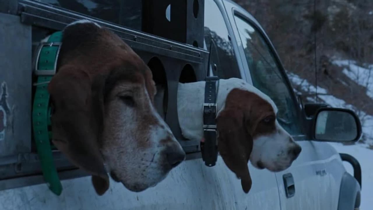 Still from Proving Grounds