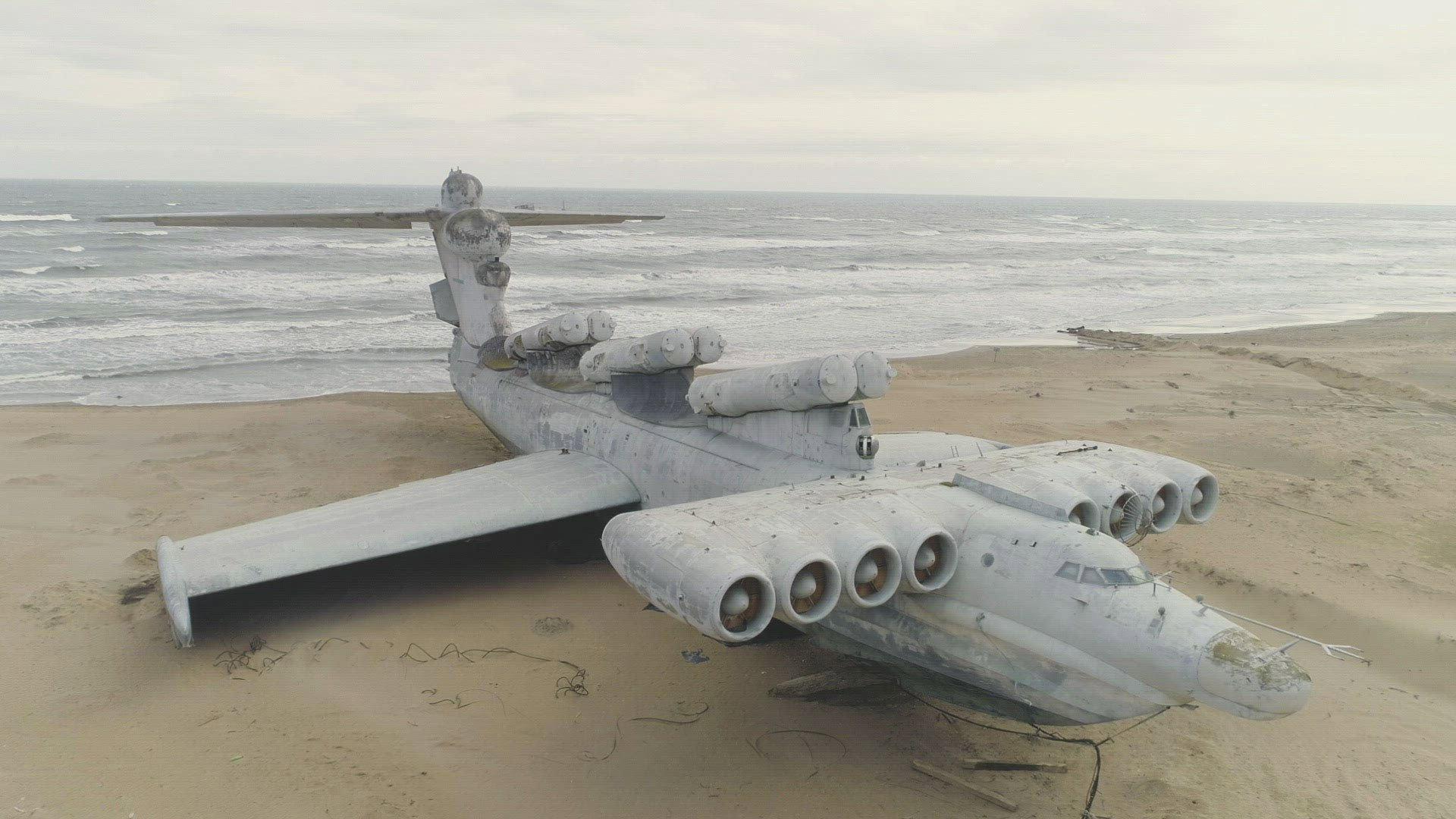Still from The Beached Leviathan
