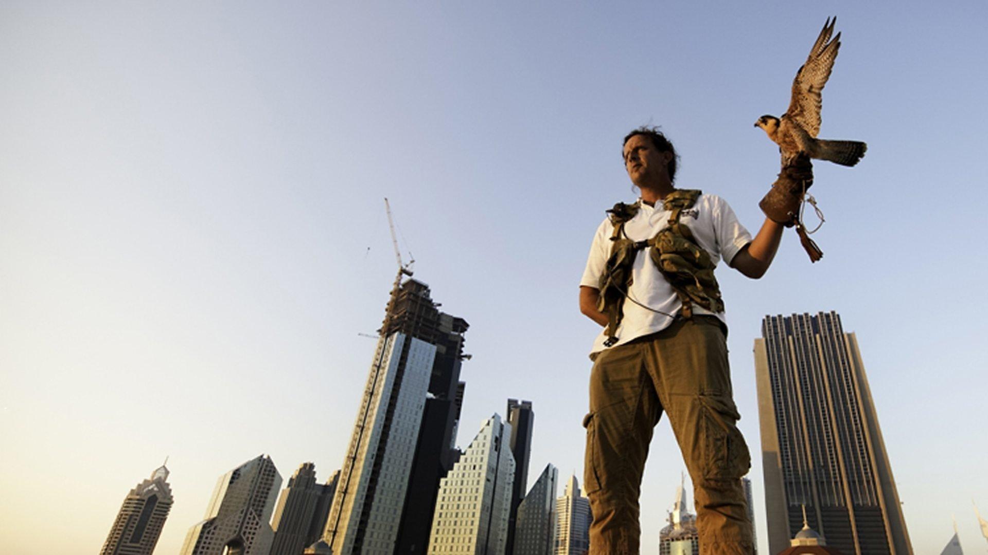 Still from Cities: Surviving the Urban Jungle