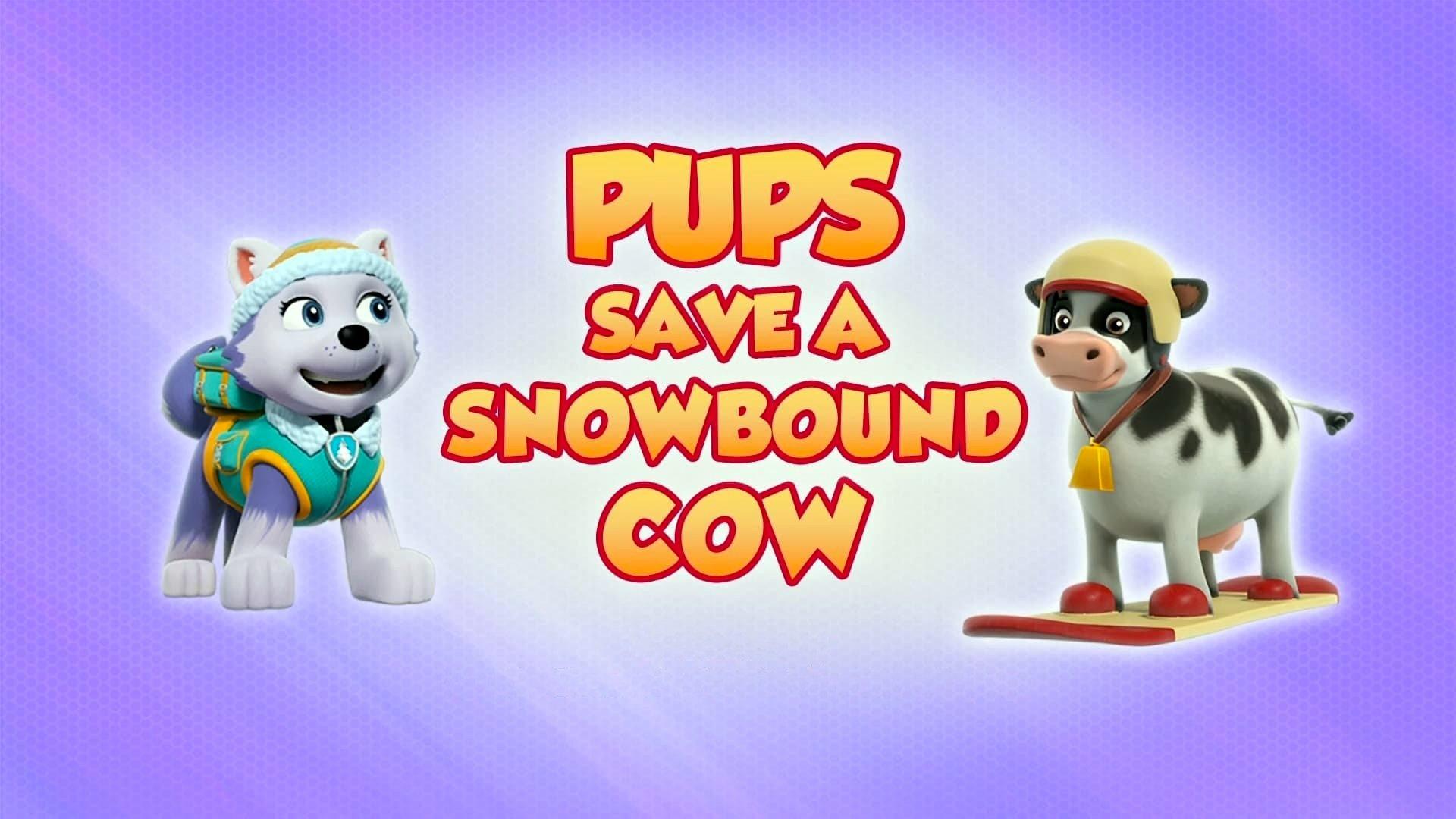 Still from Pups Save a Snowbound Cow