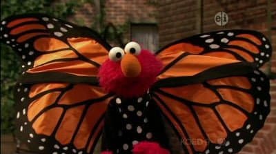 Still from Elmo and the Butterfly