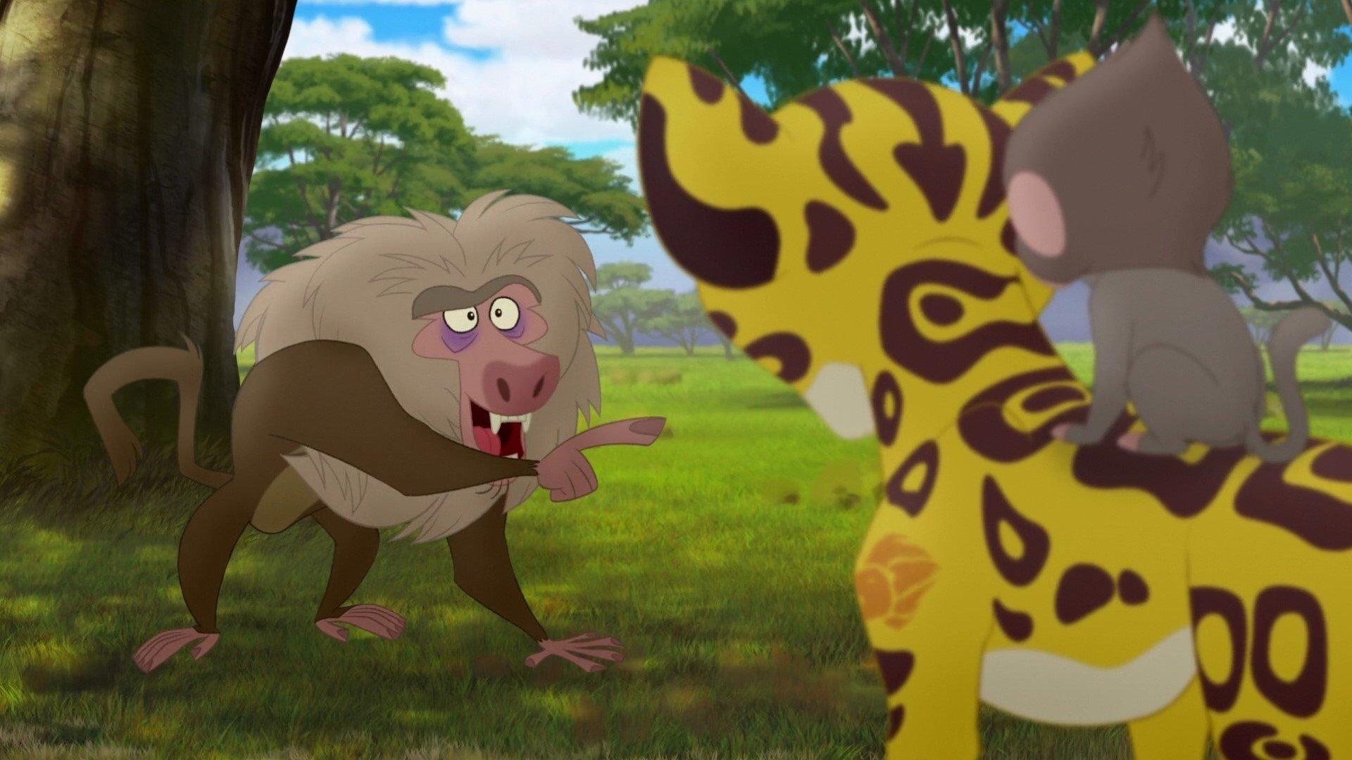 Still from Baboons!