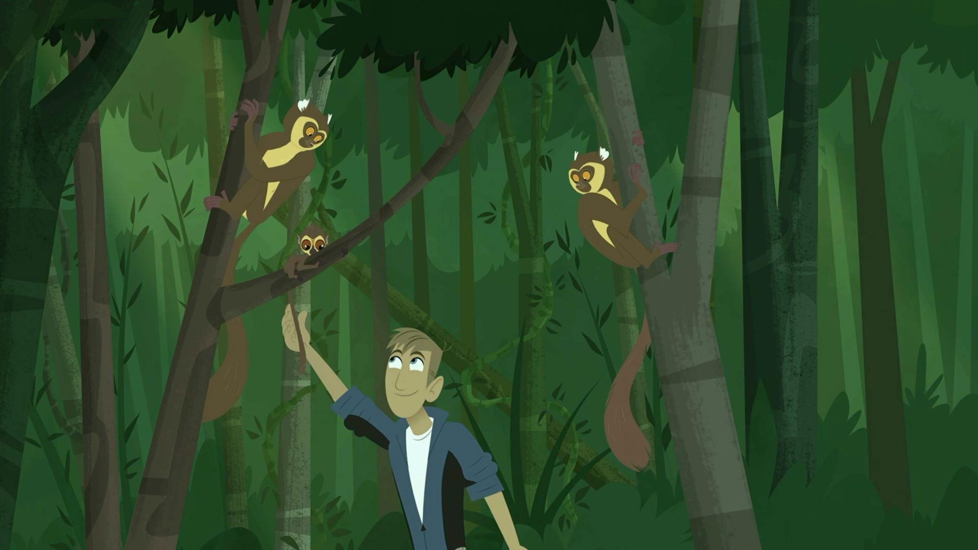 Still from Golden Bamboo Lemur