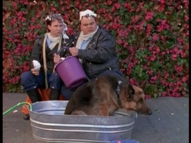 Still from Every Dog Has His Day