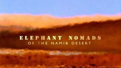 Still from Elephant Nomads of The Namib Desert