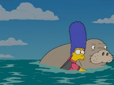 Still from The Bonfire of the Manatees