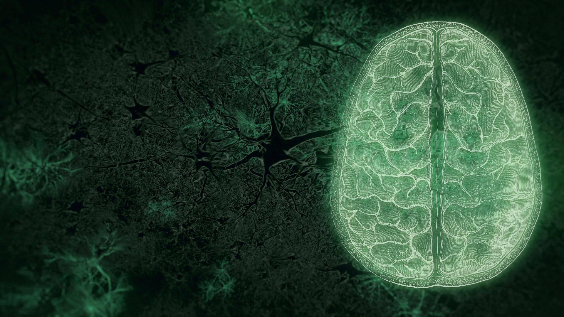 Still from Your Brain: Who's in Control? (2)