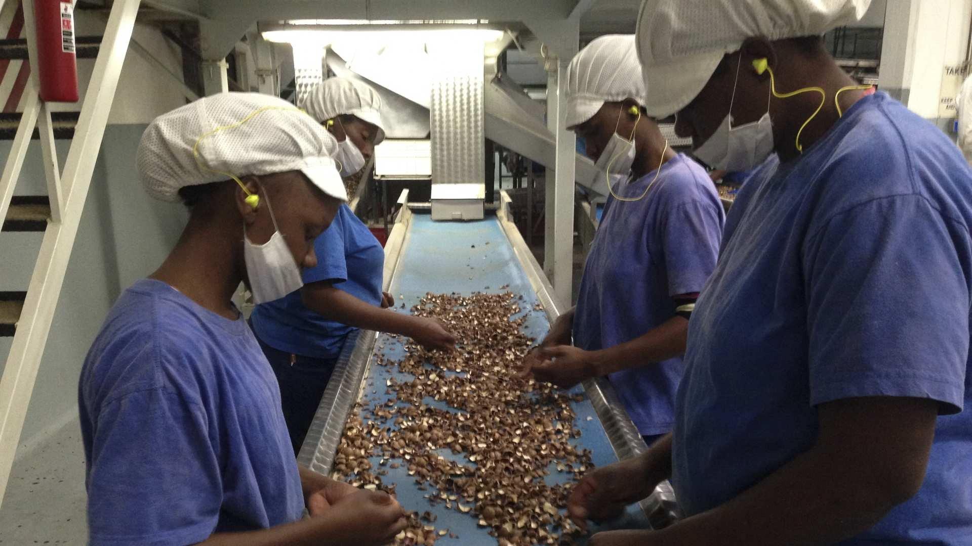 Still from Macadamia Nuts, Tap Water, Crowd Barriers
