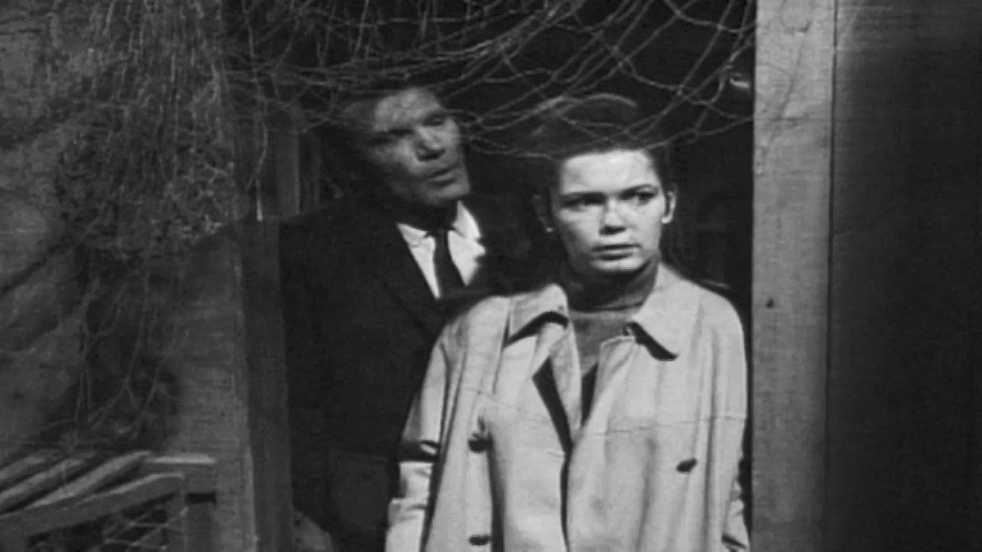 Still from DS-173