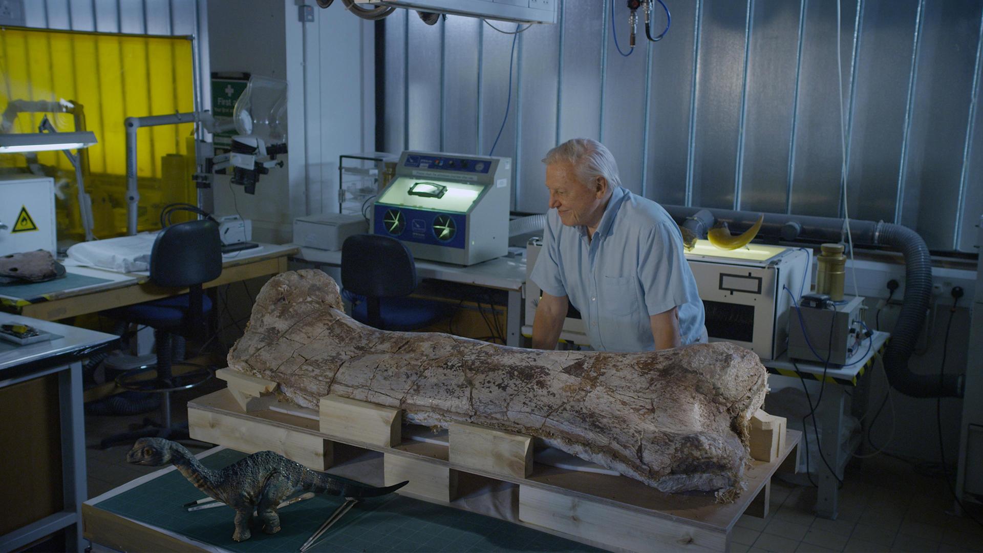 Still from Museum Alive With David Attenborough