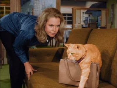 Still from The Catnapper