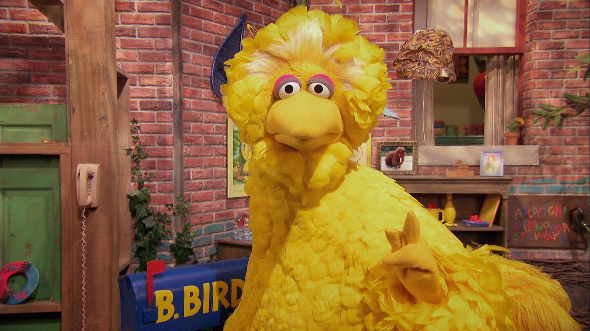 Still from Big Bird's Happy To Be Me Club