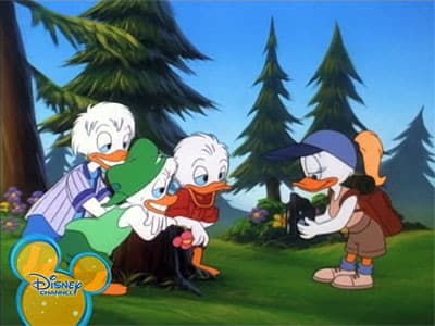 Still from Ducks by Nature
