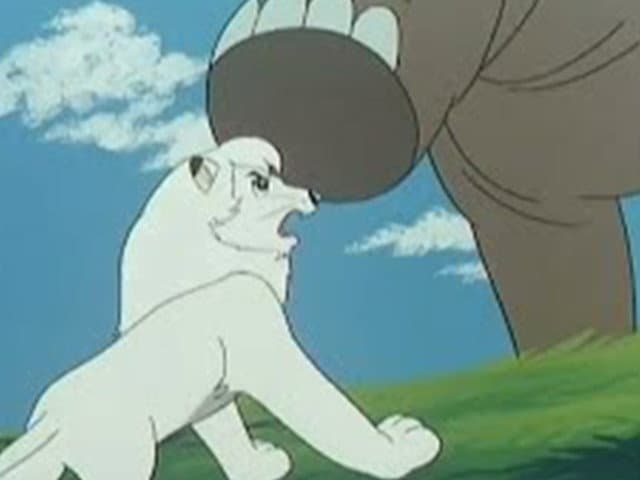Still from Candle Rock