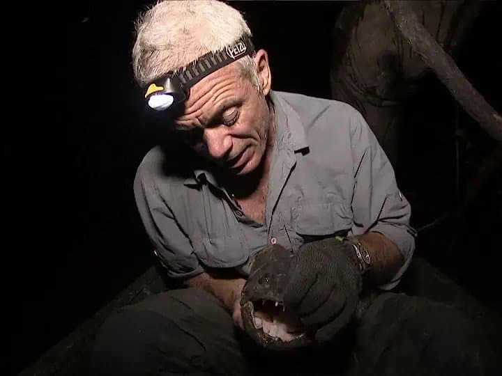Still from Jungle Killer