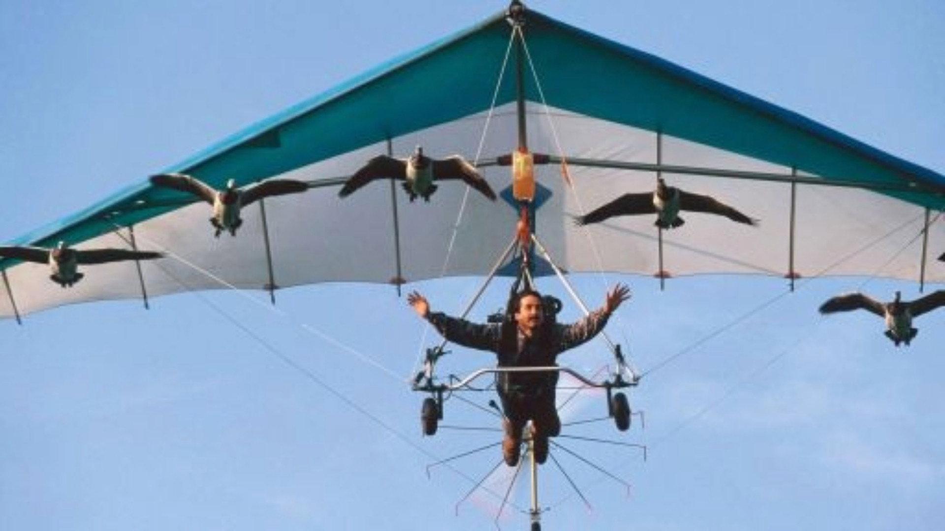 Still from Earthflight: Flying High