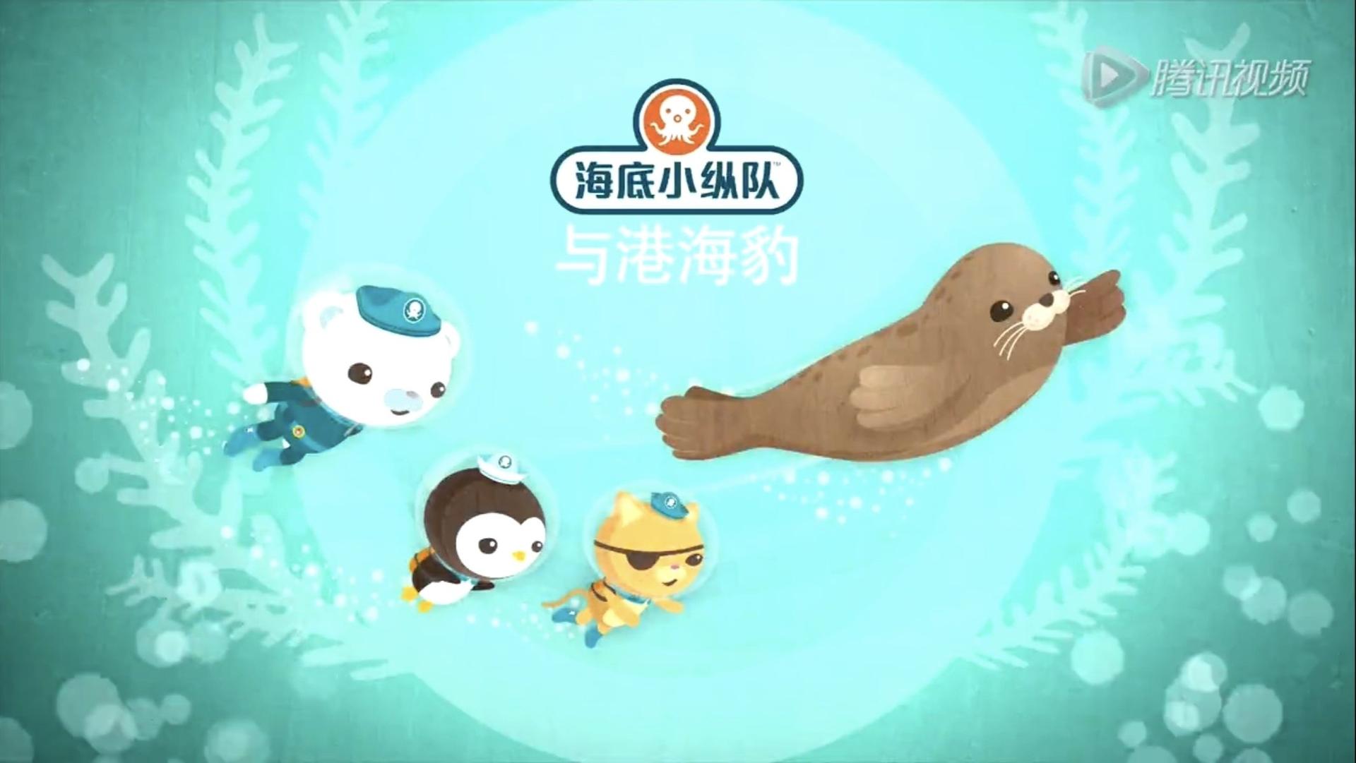 Still from The Harbour Seal