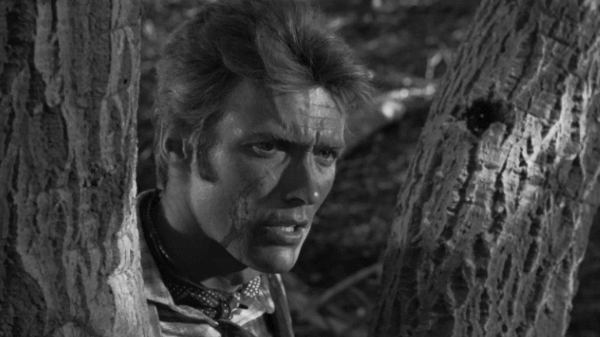 Still from Incident of the Widowed Dove