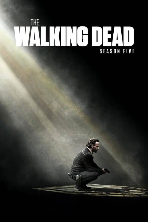Season 5 poster