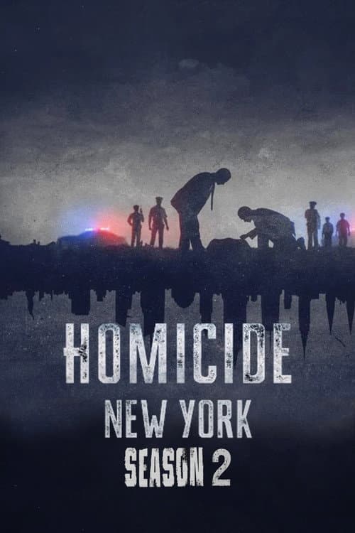 New York: Season 2 poster