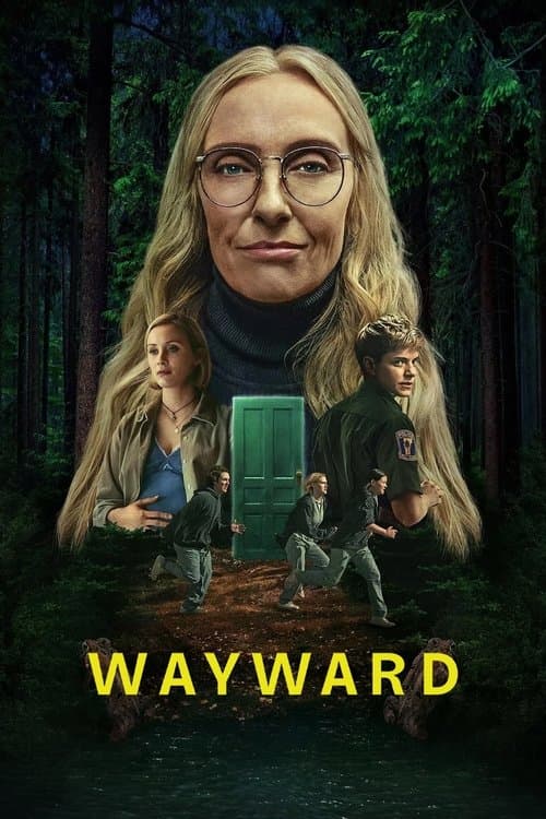 Limited Series poster
