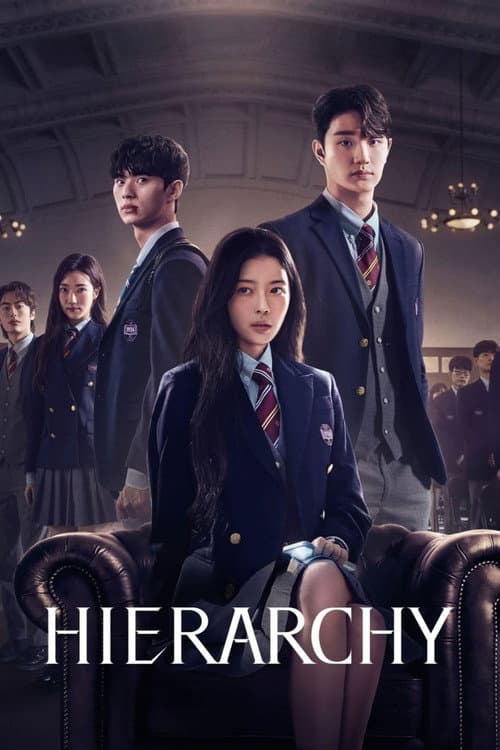 Limited Series poster