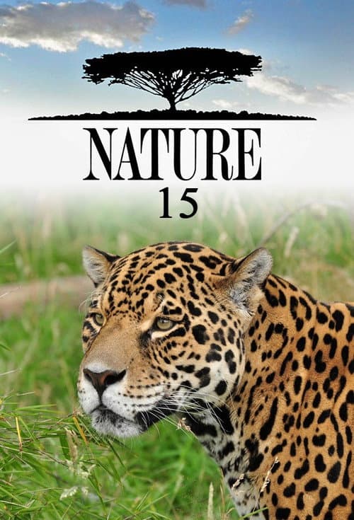 Season 15 poster