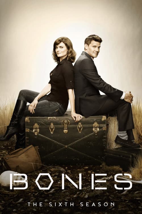 Season 6 poster