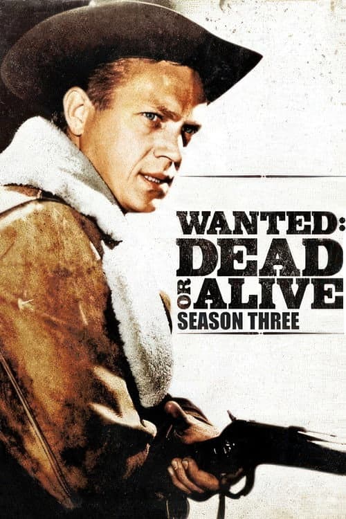 Season 3 poster