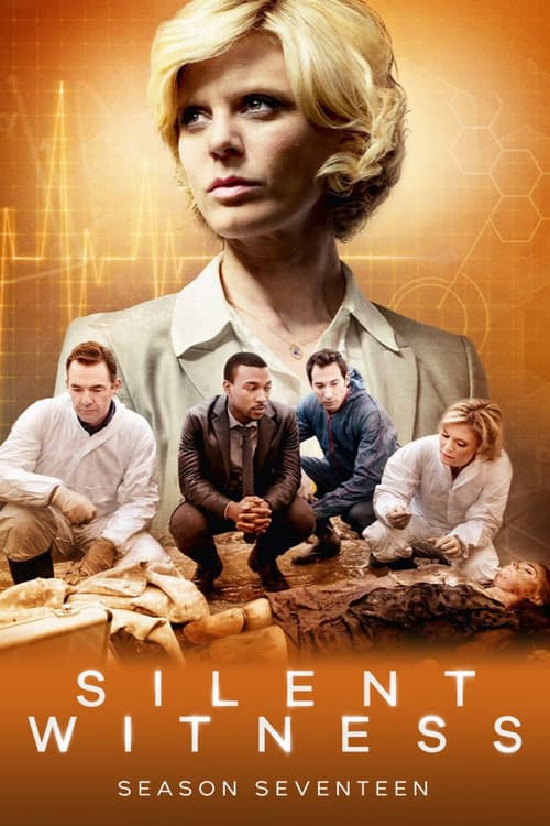 Series 17 poster