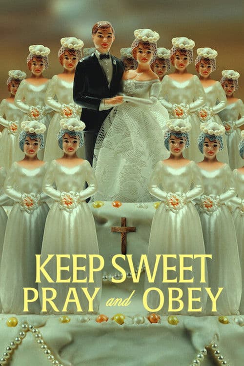 Limited Series poster