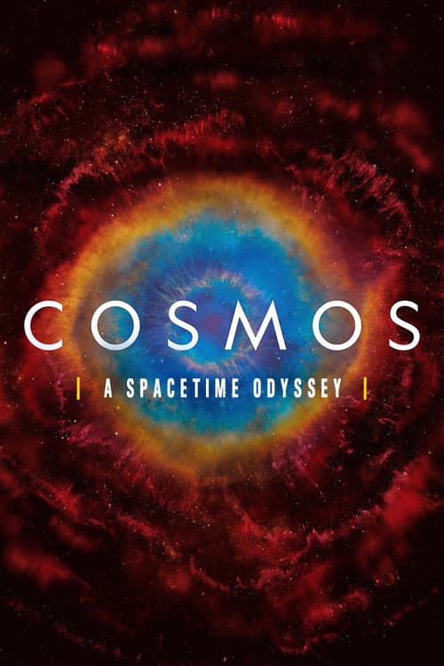 A Spacetime Odyssey poster