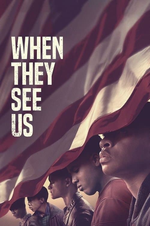 Limited Series poster