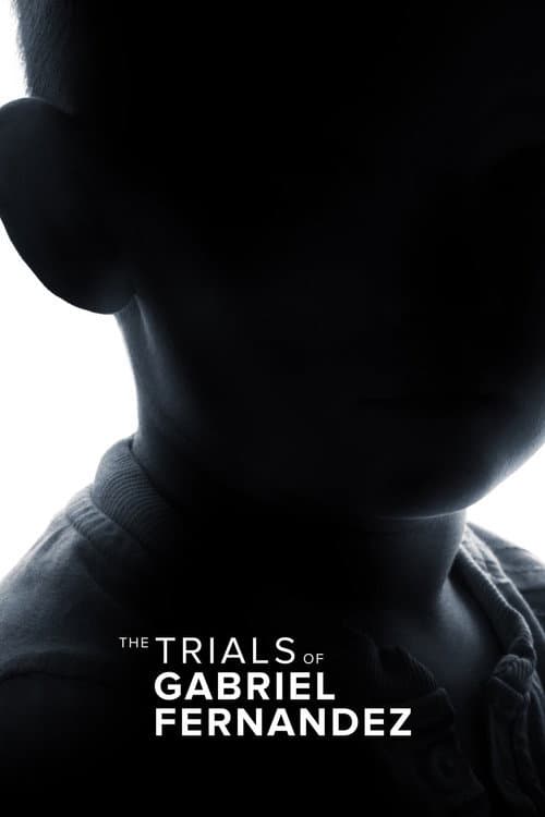 Limited Series poster