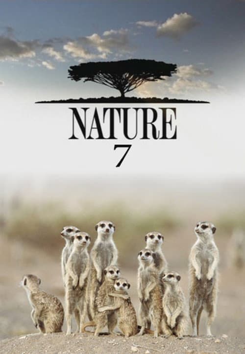 Season 7 poster
