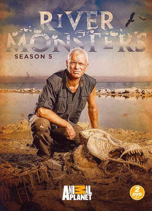 Season 5 poster