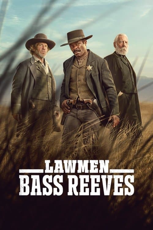 Miniseries poster