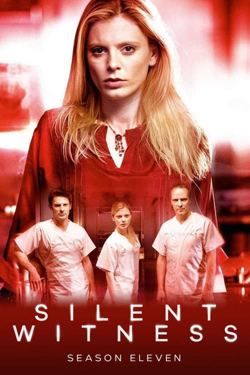 Series 11 poster