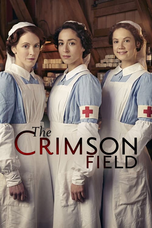 Miniseries poster